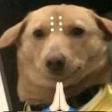 去码头挣点薯条头像