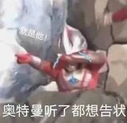 草莓提提的个人资料头像