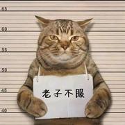 用户1962578690466的个人资料头像