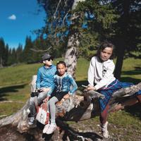 阿雷的远方头像