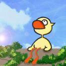 Zz爱学习的个人资料头像