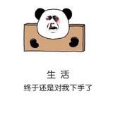 五号328头像