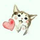 南屿若沫的个人资料头像