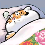 大王6O9C头像