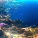 放肆的我蓝天869头像