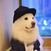 我还明白的个人资料头像