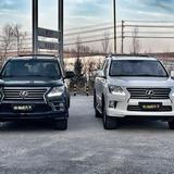 陆巡小飞二手车头像