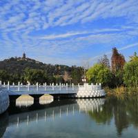 自由奔腾摩卡头像