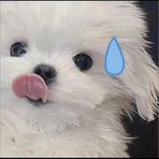 奇变偶不变148的个人资料头像