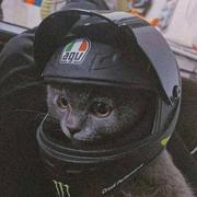 宏仔头的个人资料头像