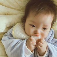 傲慢是一只猪头像