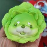 菜菜狗不菜头像