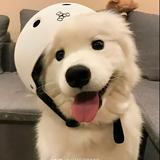 及时行乐82381头像