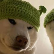 用户9659631878630的个人资料头像