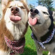 用户4761166729477的个人资料头像