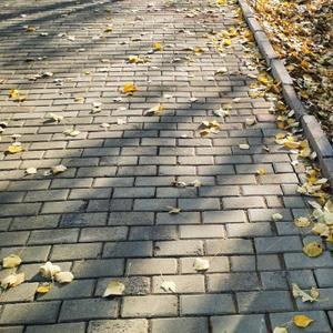 哈哈哈呀呀嘿嘿头像