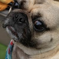 蓝天白云746562846头像