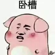 WO的个人资料头像
