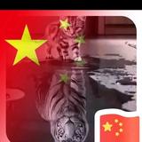 皮先生的诱惑头像