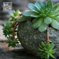 随遇而安482875322789头像