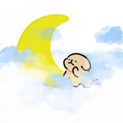 扎鑫的个人资料头像