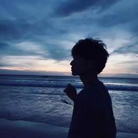 端庄柳叶xIk头像