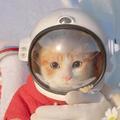 谈谈感情头像