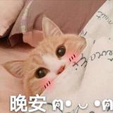 无畏头像