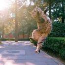 方程在掘金的个人资料头像