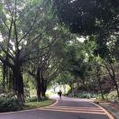 舒畅就是我的个人资料头像