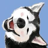 头部发条头像
