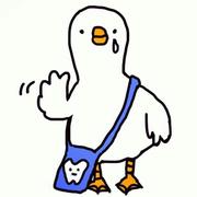 jorgeZ的个人资料头像