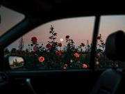 Jessica_Lee的个人资料头像