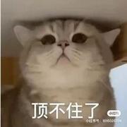 小沛的个人资料头像