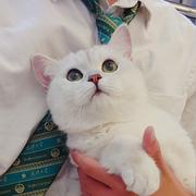 pp43的个人资料头像