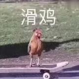 用户2040093465617头像