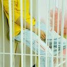 创业去哪儿的个人资料头像