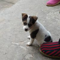 舒舒服服332头像