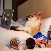 Pluto_L的个人资料头像