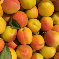 奋斗吧小狙头像