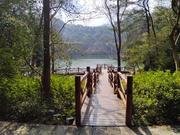 吕小匠的个人资料头像