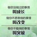 洋洋头像