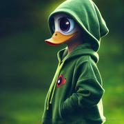 小何阔以的个人资料头像