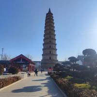 不凡小羊on头像