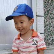 shastir的个人资料头像