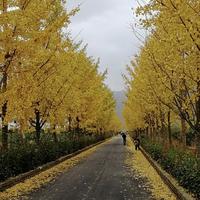 用户2656434402985头像