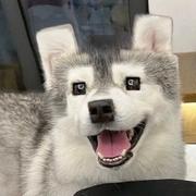 黄小轩607的个人资料头像