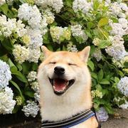 不知名jy的个人资料头像