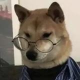 看花开的小郑头像