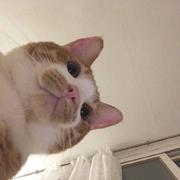 Anthony540的个人资料头像